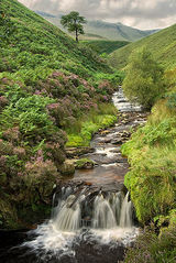 Fairbrook Naze