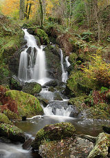 Waterfalls - Artist Wood