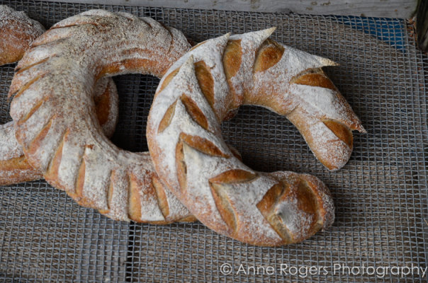 Artisan Loaves