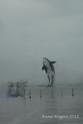 Digital Orca, Vancouver - in the Rain