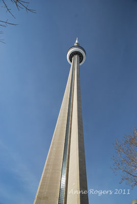 CN Tower: Looking Up