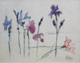 IRIS II (sold)