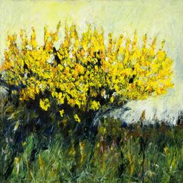 Gorse oil on canvas 100x 100 cms.+frame