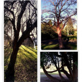 Image for Warwickshire Arts Week brochure