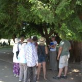 Summer Walk and Talk