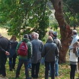 Autumn Walk and Talk