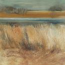 Reedbed SOLD