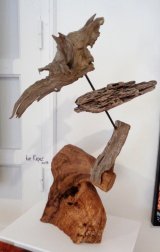 Ave Raptor (Bird of Prey)