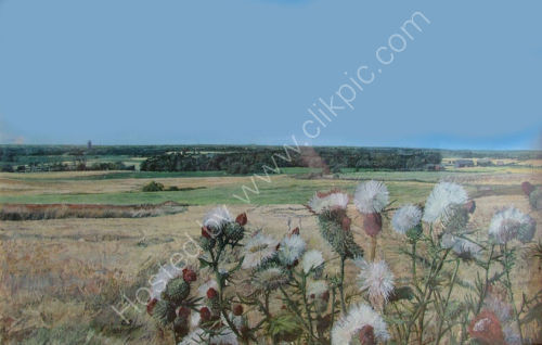 Lancashire Thistle, Holborn Hill, Ormskirk