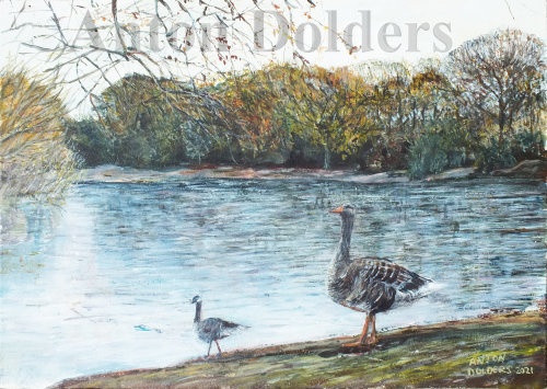 Leytonstone Hollow Pond Icey with Two Canada Geese