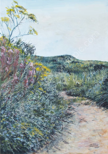 Ainsdale Coastal Path c
