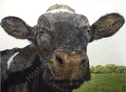 Cow's Face
