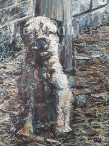 Terrier