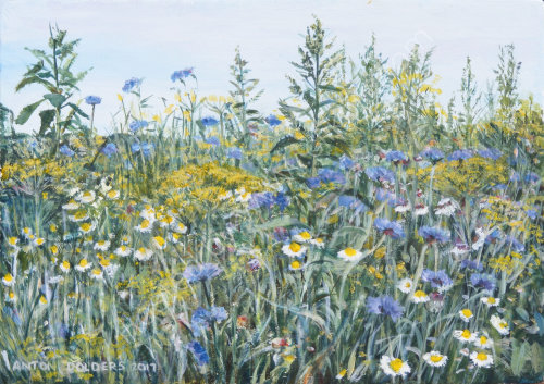Summer Flowers.