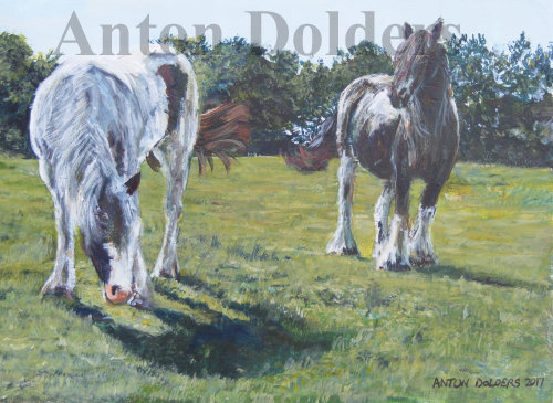 Horses in Aughton, Lancashire