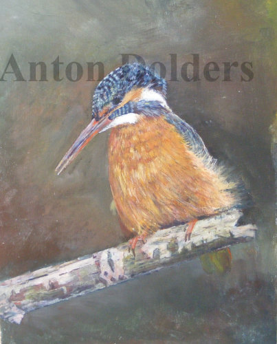KIngfisher