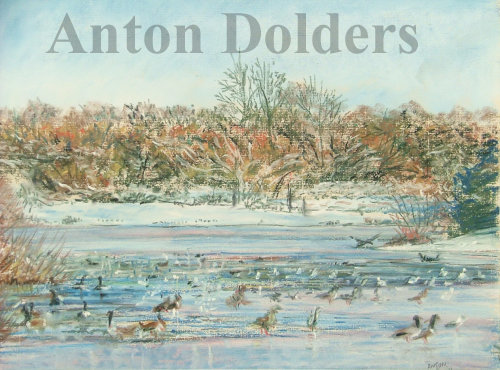 Hollow Ponds Frozen and Waterfowl B