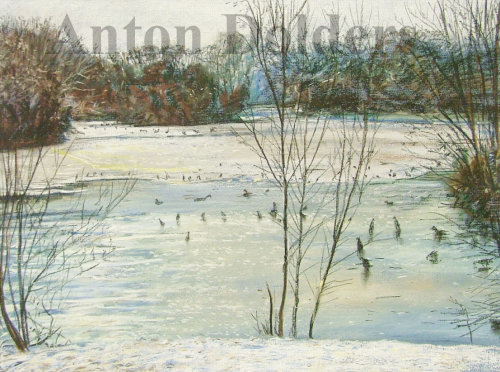 Hollow Ponds Frozen. and Waterfowl  A