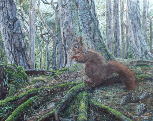 Red Squirrel Perched On Tree Roots