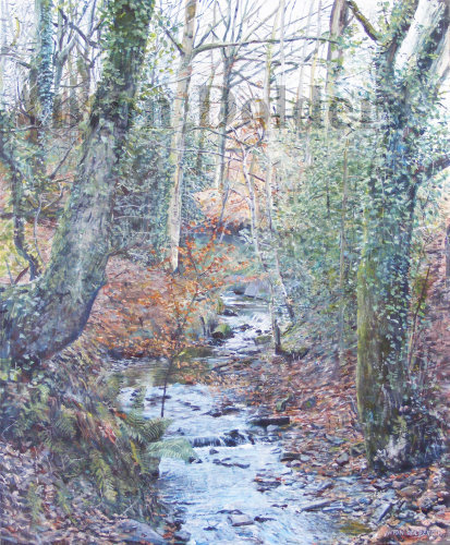 Stream on Rivington Lane