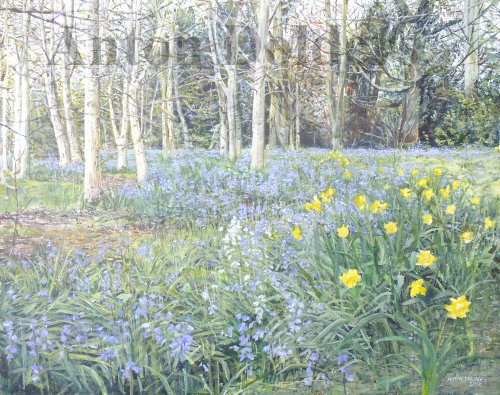 Spring Flower Woods
