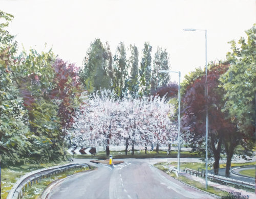 Maghull Green Lane Roundabout