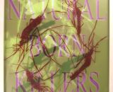 Natural Born Killers 5P