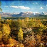 Abernethy Forest and the Cairngorms
