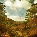 Above Glen Feshie