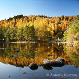 Autumn, Loch an Eilein