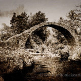 Carrbridge