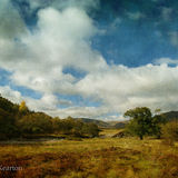 Glen Banchor, Autumn