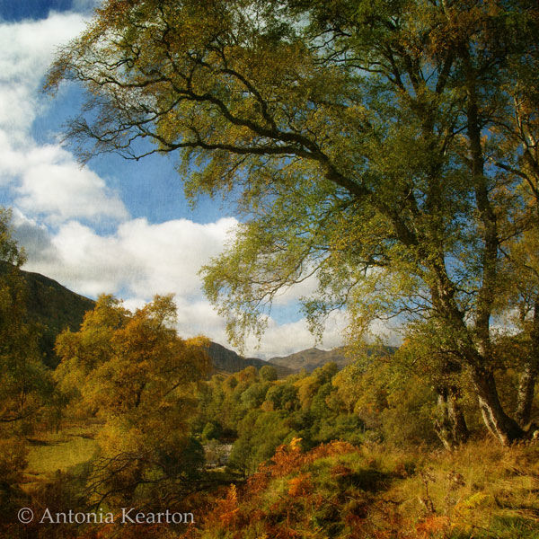 Autumn, Glen Banchor