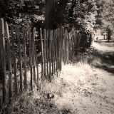 Fence