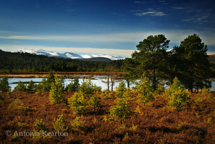 Loch an Spioraid