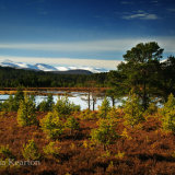 Loch an Spioraid
