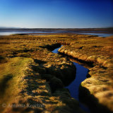 Low Tide, Findhorn Bay