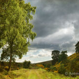 On the Dava Way