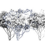 NATURE CAUSE fine art print h013