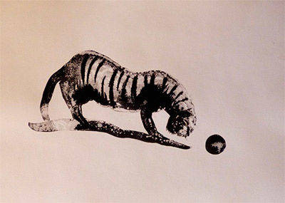 Le chat tigré