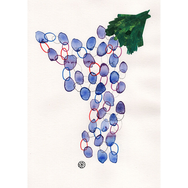 Grapes