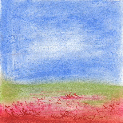 Field Of Poppies