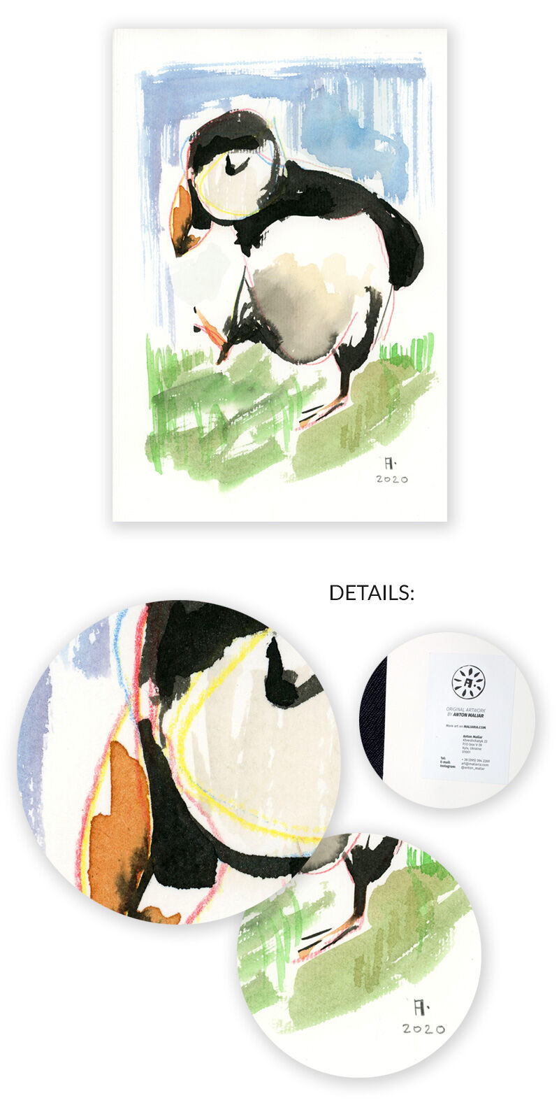 puffin watercolor painting buy online