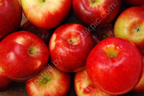 CLOSE VIEW OF APPLES