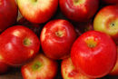 CLOSE VIEW OF APPLES