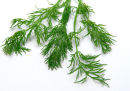 DILL