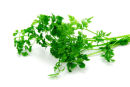 Chervil herb