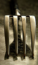 Fork