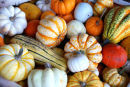 GOURDS