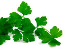 PARSLEY